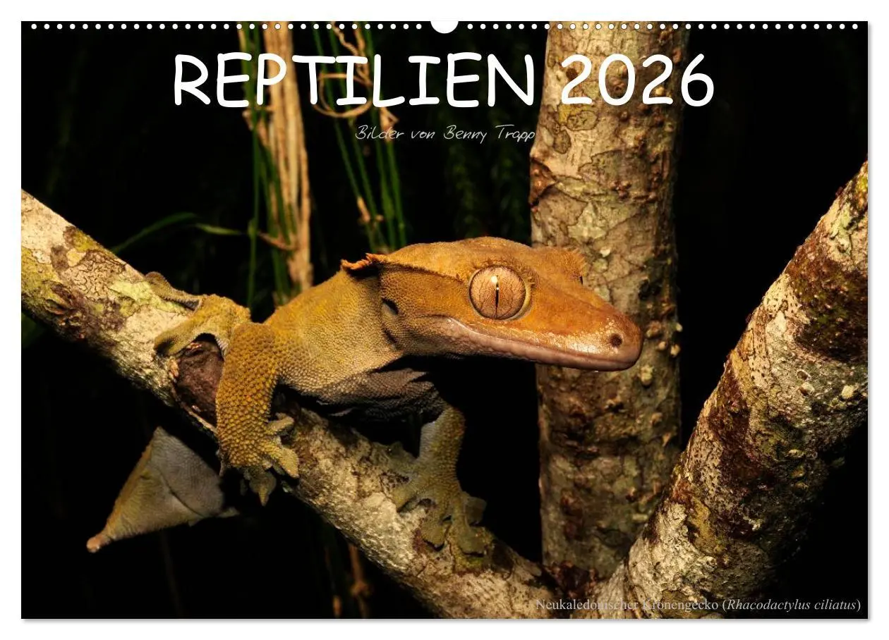 Cover: 9783516171976 | REPTILIEN (Wandkalender 2026 DIN A2 quer), CALVENDO Monatskalender
